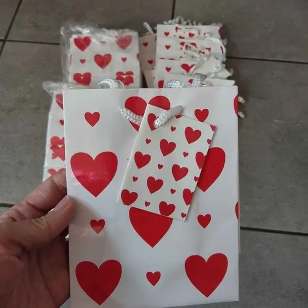 12x BUNDLE- Paper gift bags Valentine's Day Hearts small with tag 4.5